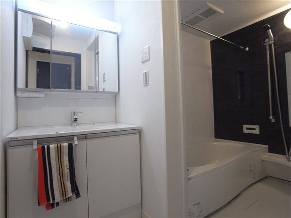 Bathroom. Bathroom 2013 / 12 shooting