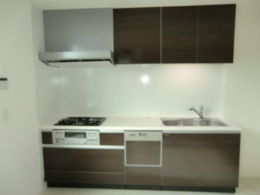 Kitchen. Indoor (12 May 2013) Shooting