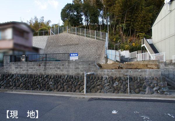 Other local. Local (12 May 2013) Shooting