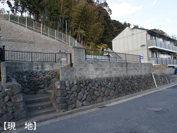 Other local. Local (12 May 2013) Shooting