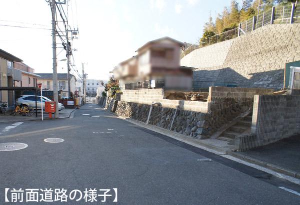 Local photos, including front road. Local (12 May 2013) Shooting