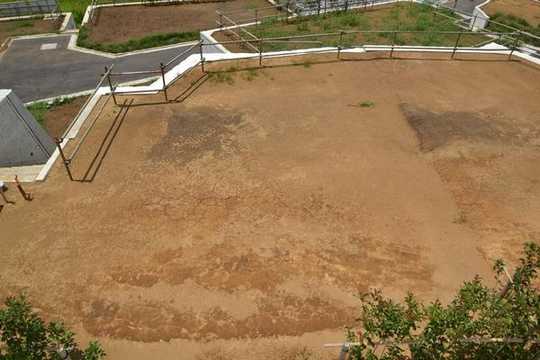 Local land photo. Local is