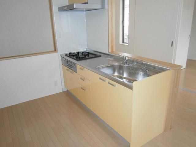 Kitchen. Indoor (09 May 2013) Shooting