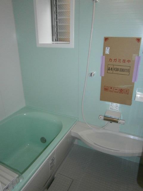 Bathroom. Indoor (September 2013) Shooting