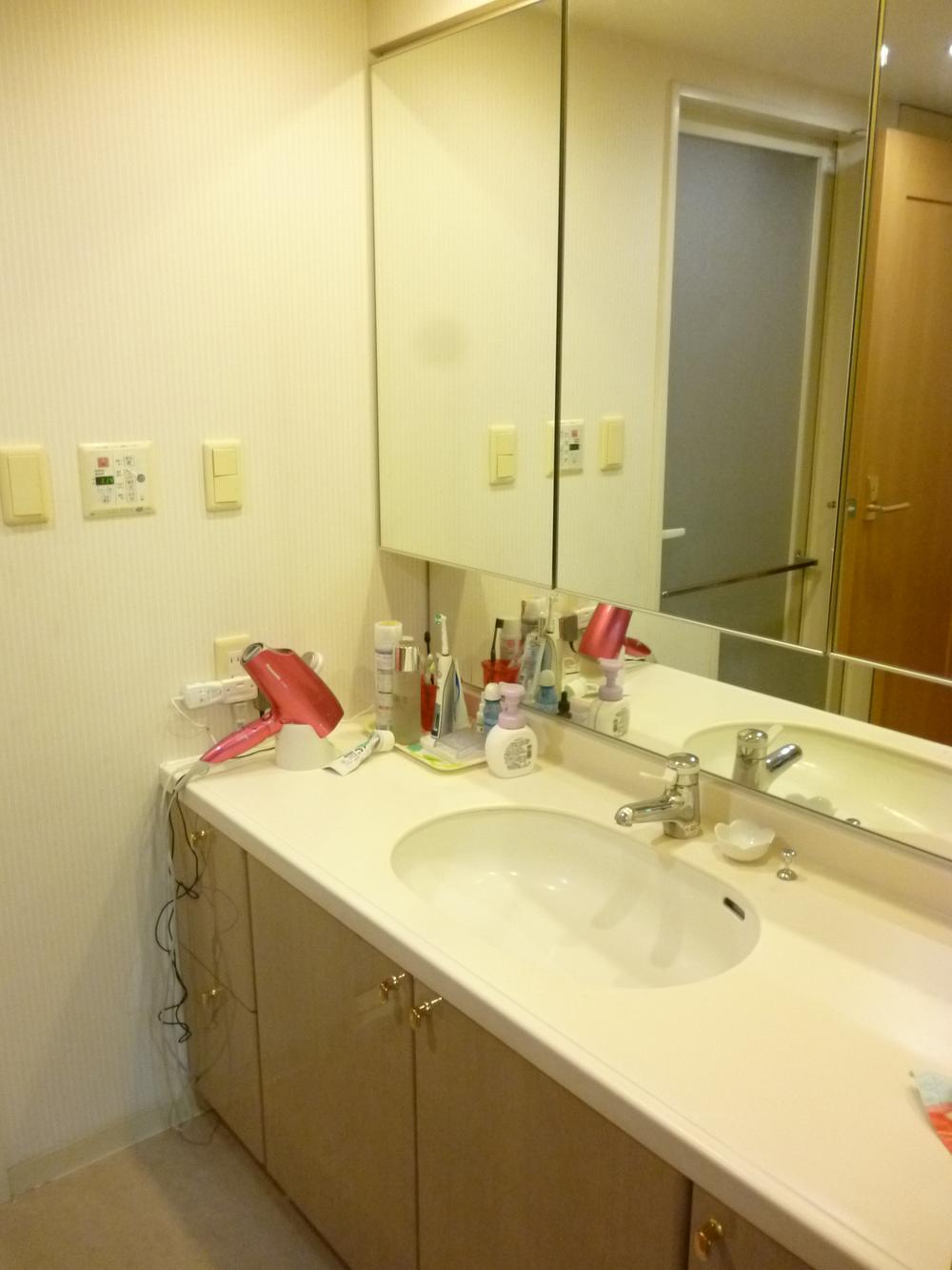 Wash basin, toilet. Bathroom vanity