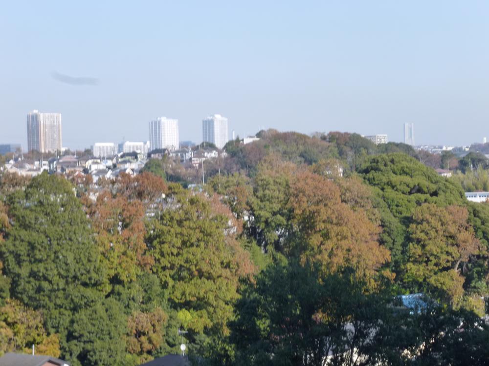 View photos from the dwelling unit. View from the room