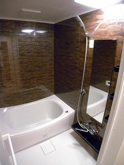 Bathroom. Indoor (September 2013) Shooting