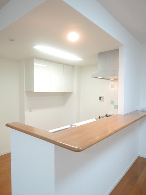 Kitchen. Kitchen with counter