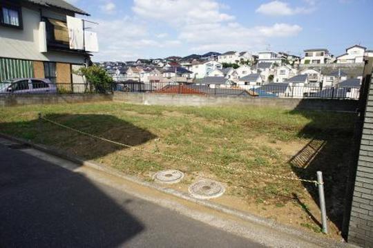 Local land photo. Local Photos