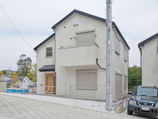 Other local. Local Photos