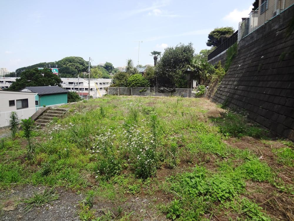 Local land photo. Bright land