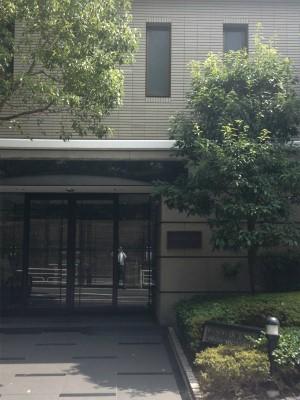 Entrance. Common areas