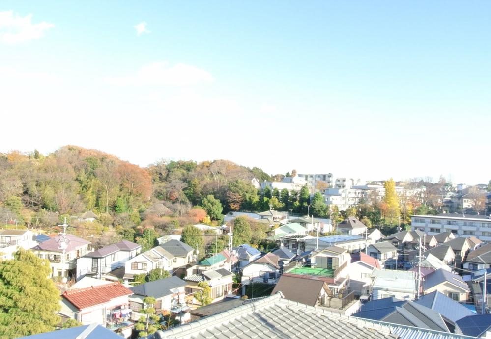 Other. Landscape as seen from the Western-style