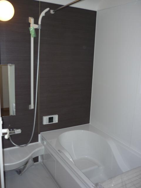 Bathroom. Indoor (12 May 2013) Shooting