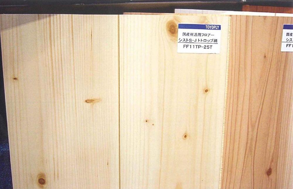 Same specifications photos (Other introspection). Building 2 Flooring