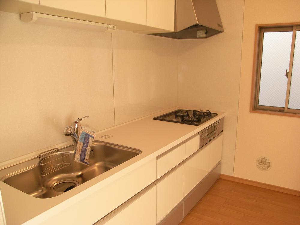 Kitchen. Indoor (11 May 2013) Shooting