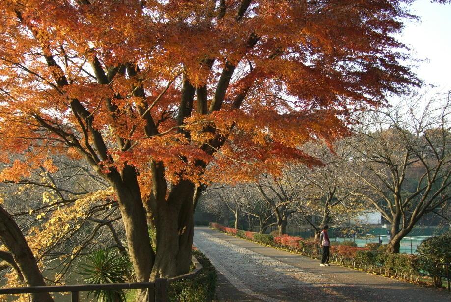 park. Until Mitsuikekoen 318m