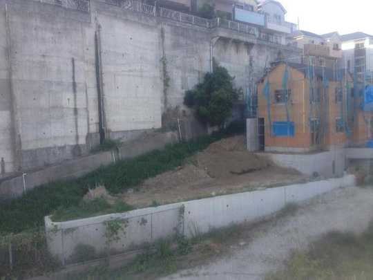 Local land photo. Land appearance