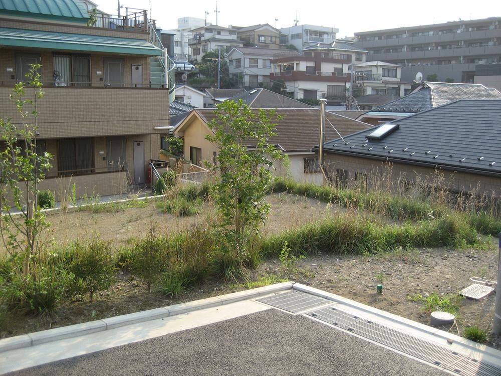 Local land photo. Local (July 2013) Shooting