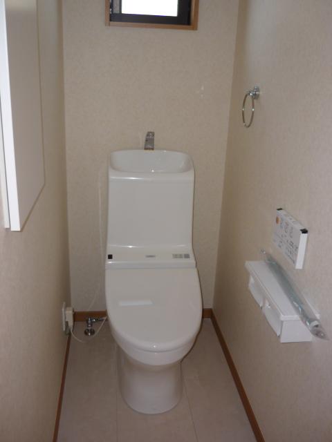 Toilet. Indoor (12 May 2013) Shooting