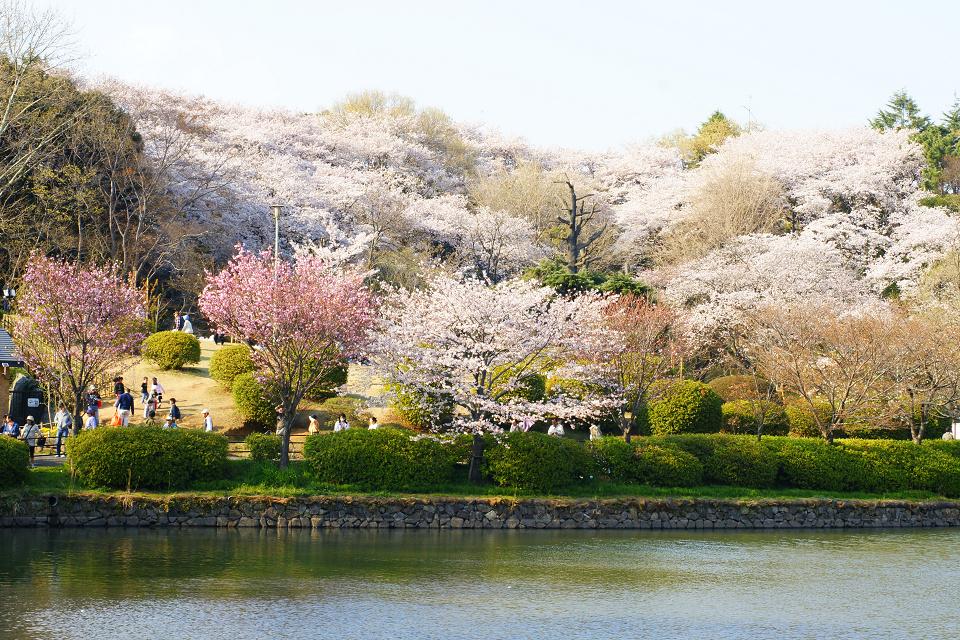 park. 800m until Mitsuike park