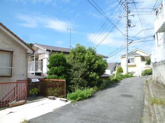 Local land photo. appearance