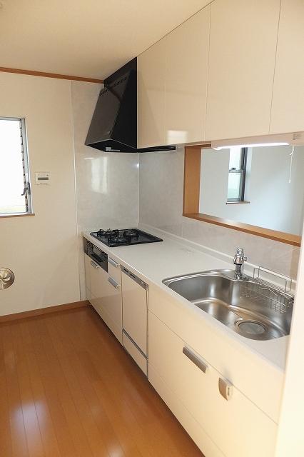 Kitchen. Indoor (December 5, 2013) Shooting