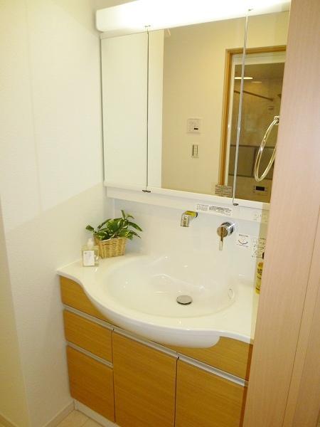 Wash basin, toilet. Bathroom vanity