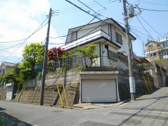 Local land photo. appearance