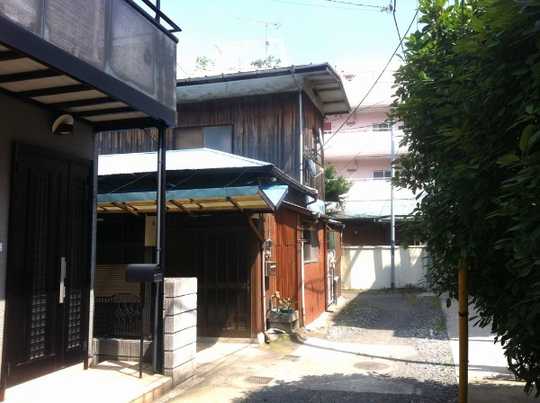 Local land photo. appearance