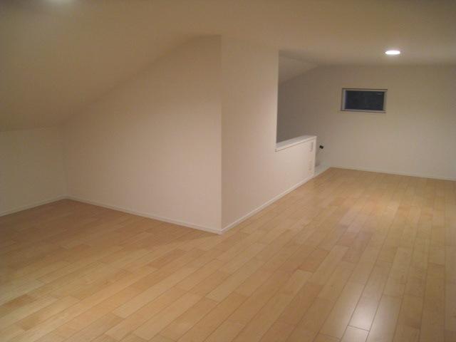 Other introspection. Indoor (11 May 2013) Shooting 9.2 Pledge of loft.