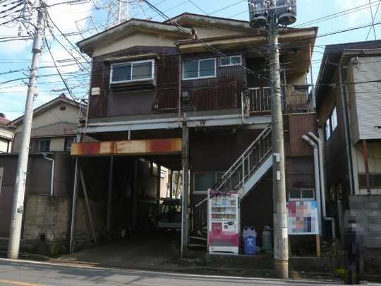 Local land photo. Appearance (1)