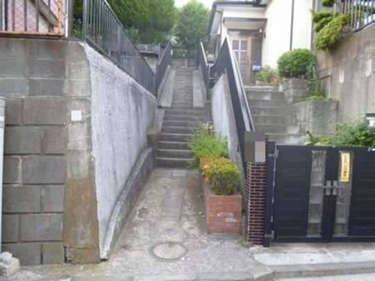 Local land photo. Appearance (1)