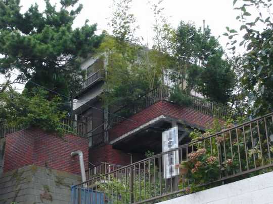 Local land photo. The property southwest side