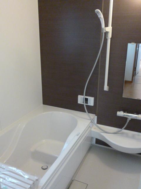 Bathroom. Indoor (12 May 2013) Shooting