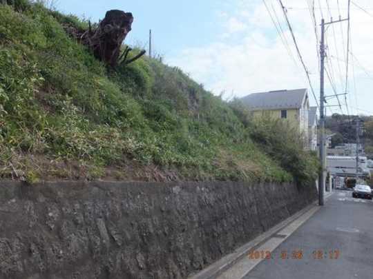 Local land photo. appearance