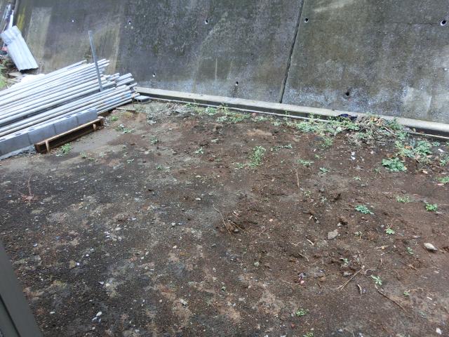 Garden. Also a little garden at the back of the house