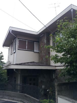 Local land photo. Appearance 1