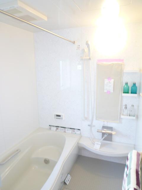 Bathroom. Indoor (September 2013) Shooting