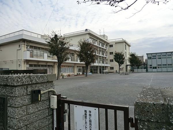 Primary school. Until the peace elementary school 350m