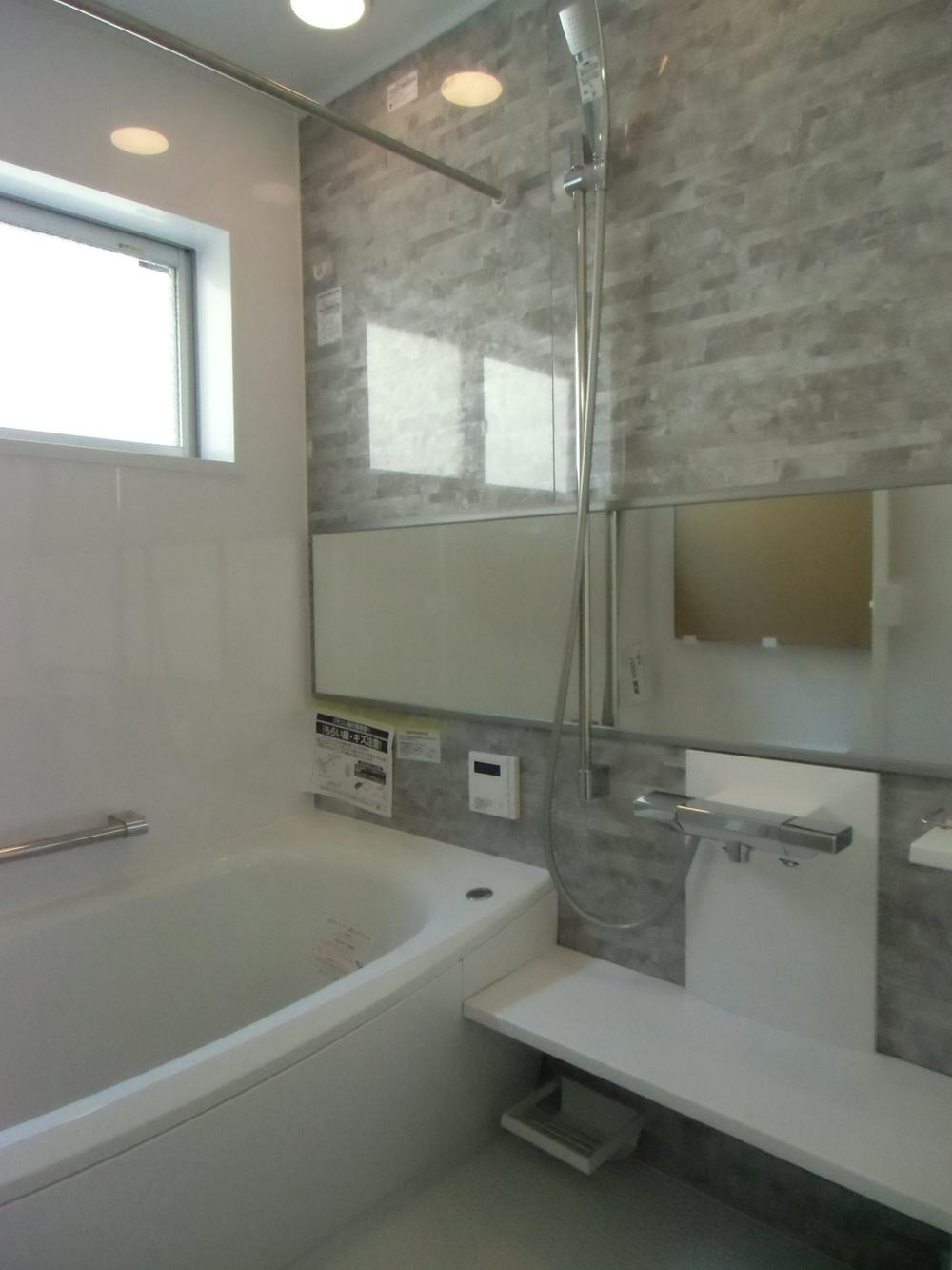 Bathroom. Indoor (10 May 2013) Shooting