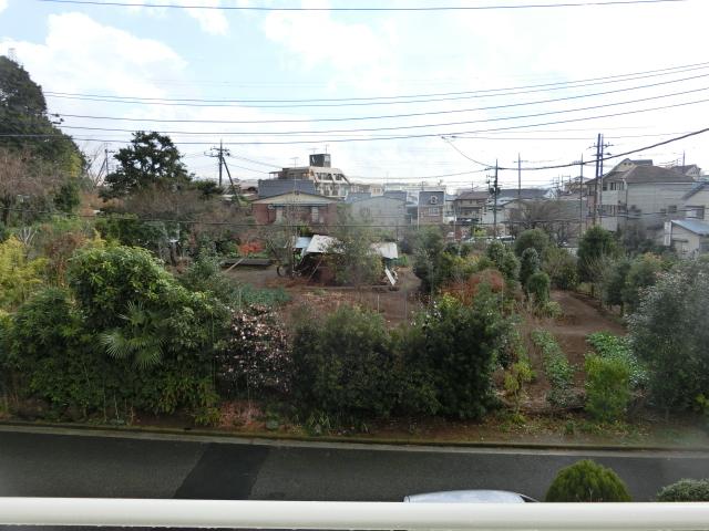 View photos from the dwelling unit. There are no buildings on the entire surface of the housing! Very open