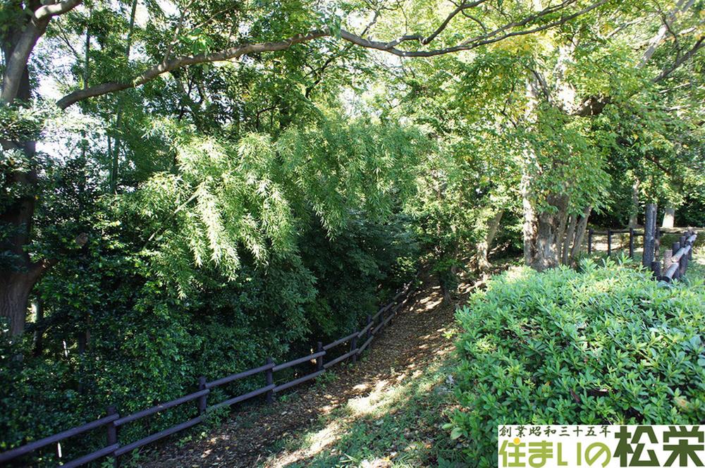 park. I than Tokyo in Yokohama, This area there are still green