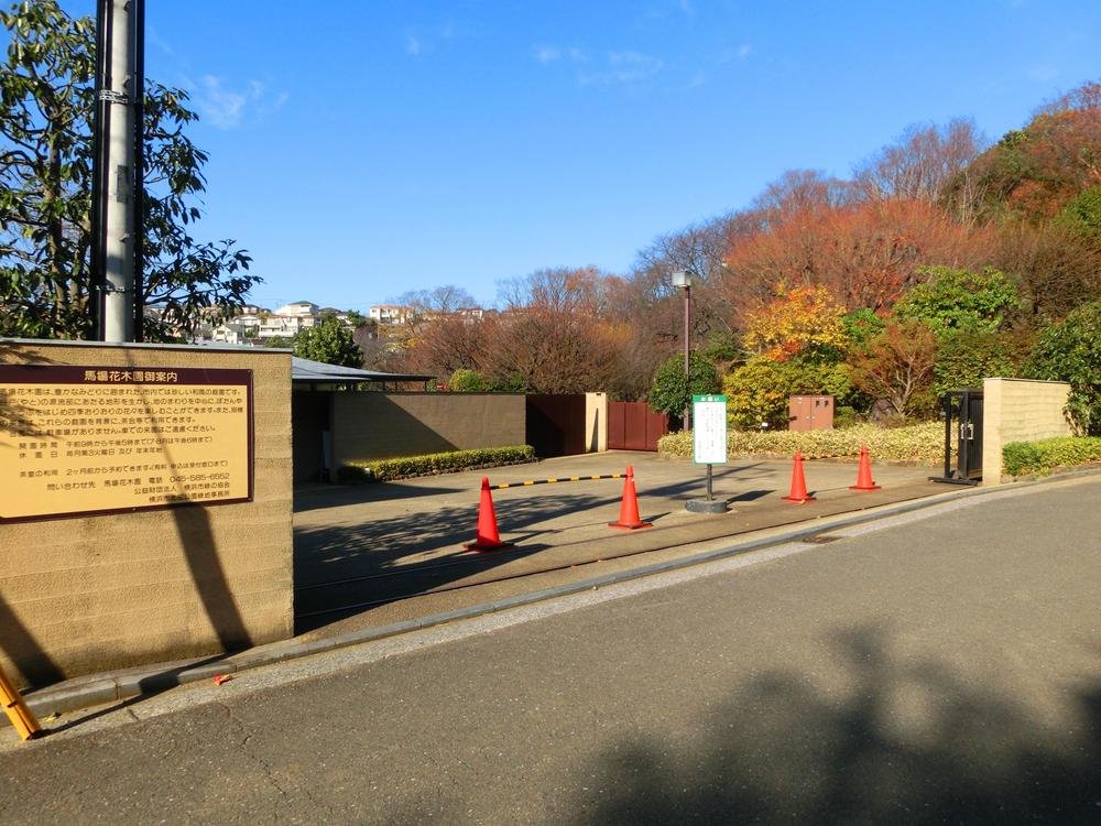 Other. Baba flowers and trees Gardens