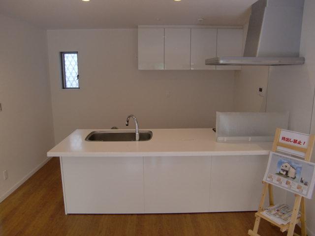 Kitchen. Indoor (11 May 2013) Shooting