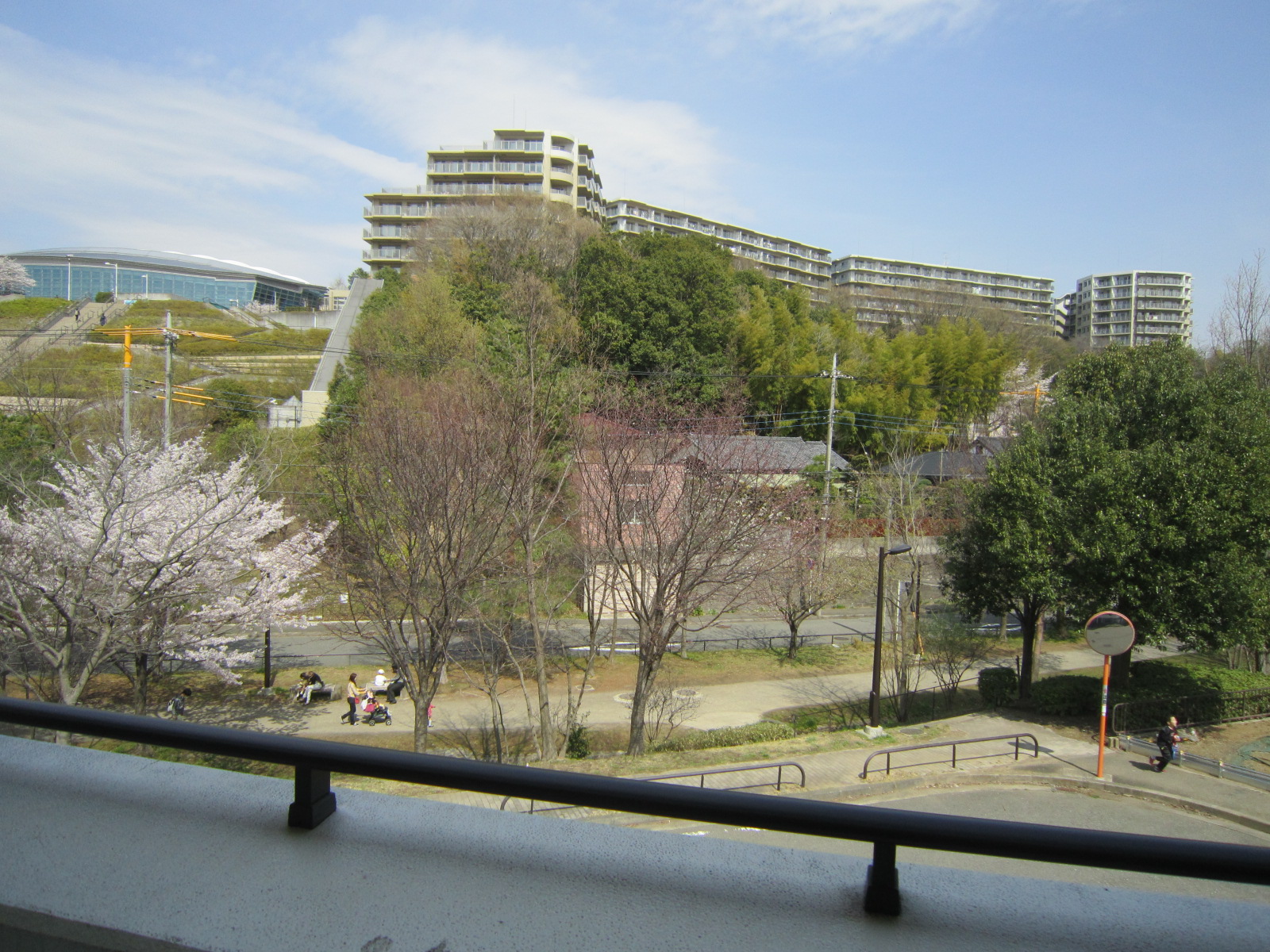 View. View from the balcony
