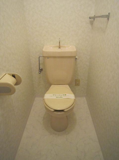 Toilet