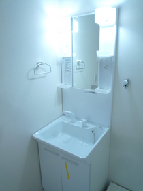 Washroom. Beautiful independent wash basin!