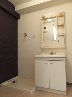 Washroom. Spacious washroom