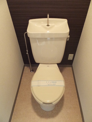 Toilet. Toilet with cleanliness